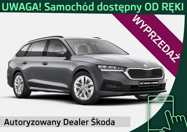 Skoda Octavia cena 131000 przebieg: 3, rok produkcji 2024 z Krzywiń małe 22